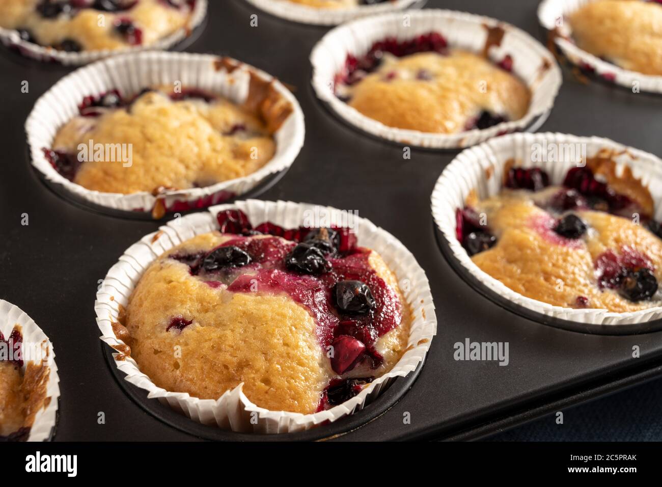 Muffins aux raisins de Corinthe noirs sur la plaque de cuisson, dessert sucré, sélection de profondeur de champ étroite Banque D'Images