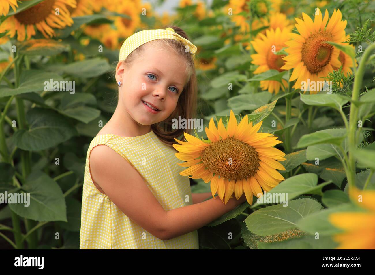 Belle fille dans une robe jaune dans un champ avec des tournesols Banque D'Images