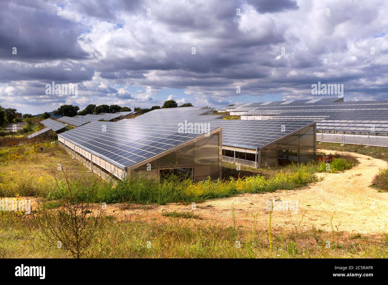 Ferme de panneaux solaires, Latium, province de Viterbo, Latium, Italie Banque D'Images