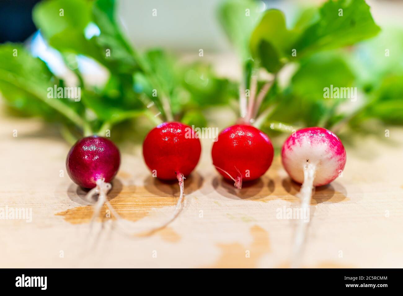 Gros plan de quatre petits radis violets, blancs, roses et rouges colorés locaux provenant du jardin sur une macro de planche à découper en bois avec congé vert Banque D'Images