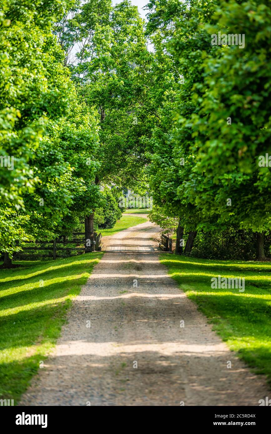 Entrée ouverte et fermée, vue verticale avec allée dans la campagne rurale dans Virginia Estate chemin de terre en gravier rue avec arbres verts luxuriants en été Banque D'Images
