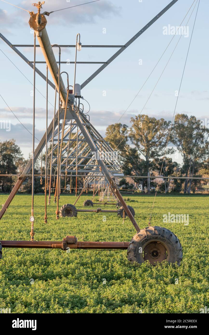 Un système d'irrigation ou d'arrosage autotracté, à pivot central ou latéral, prêt à être utilisé sur une culture agricole près de Mudgee, en Australie Banque D'Images