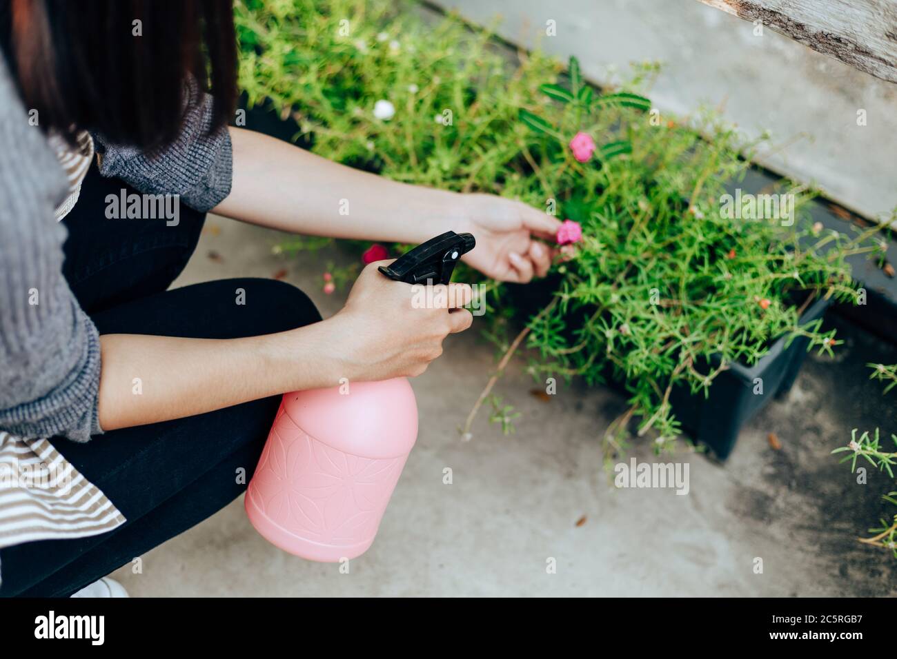 les jeunes femmes belles utilisent un vaporisateur d'eau dans le jardin. Banque D'Images