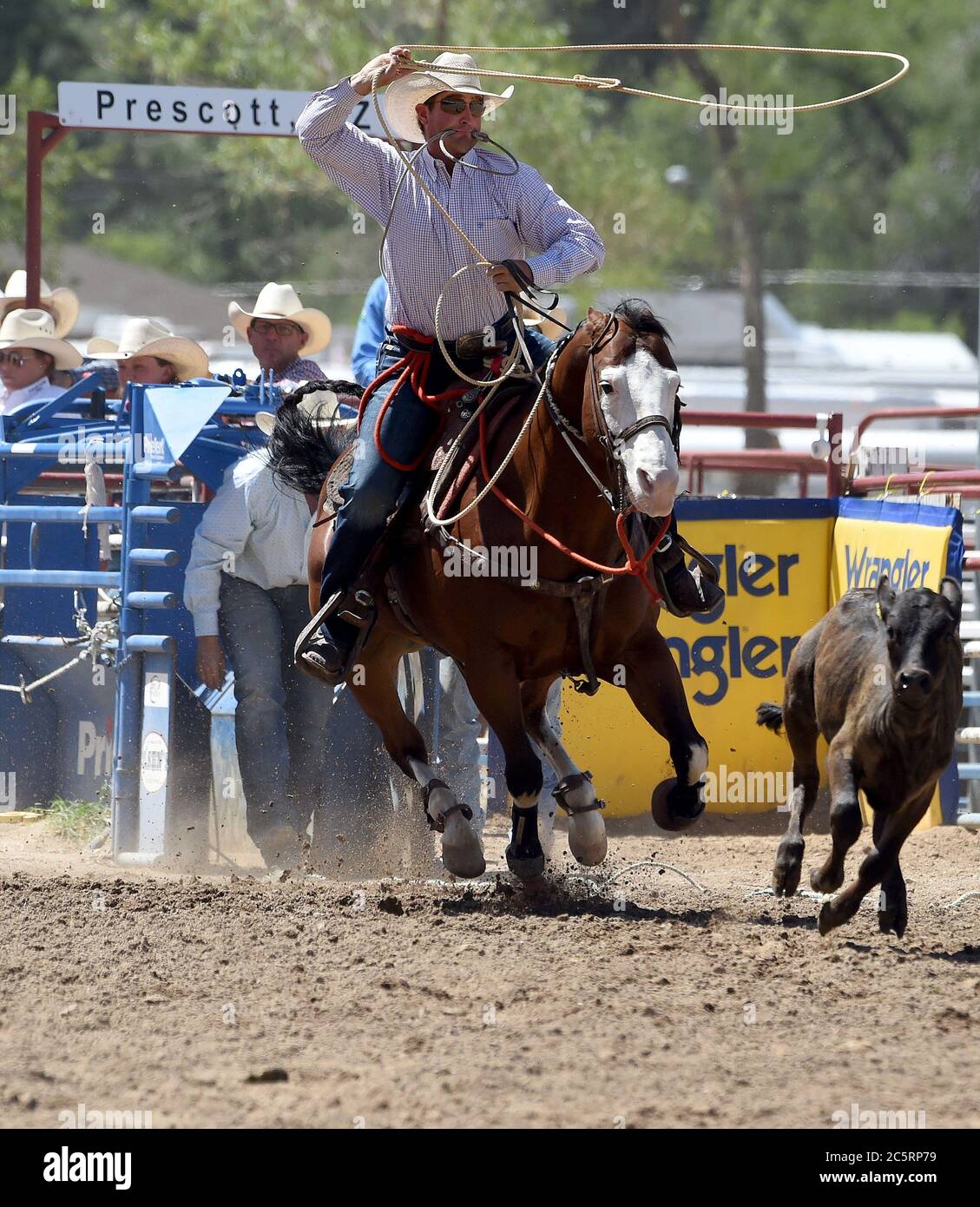 Prescott, AZ, États-Unis. 4 juillet 2020. Chris McCuistion, de Collinsville, Texas, participe à l'épreuve de la boucle de liaison lors du 133e Rodeo des Frontier Days de Prescott, Arizona, le samedi 4 juillet 2020. Le rodéo, le plus long au monde, s'est poursuivi malgré la pandémie du coronavirus, avec une capacité de ventilateur limitée à 25 pour cent sur le site. Crédit : nouvelles en direct de will Lester/ZUMA Wire/Alay Banque D'Images