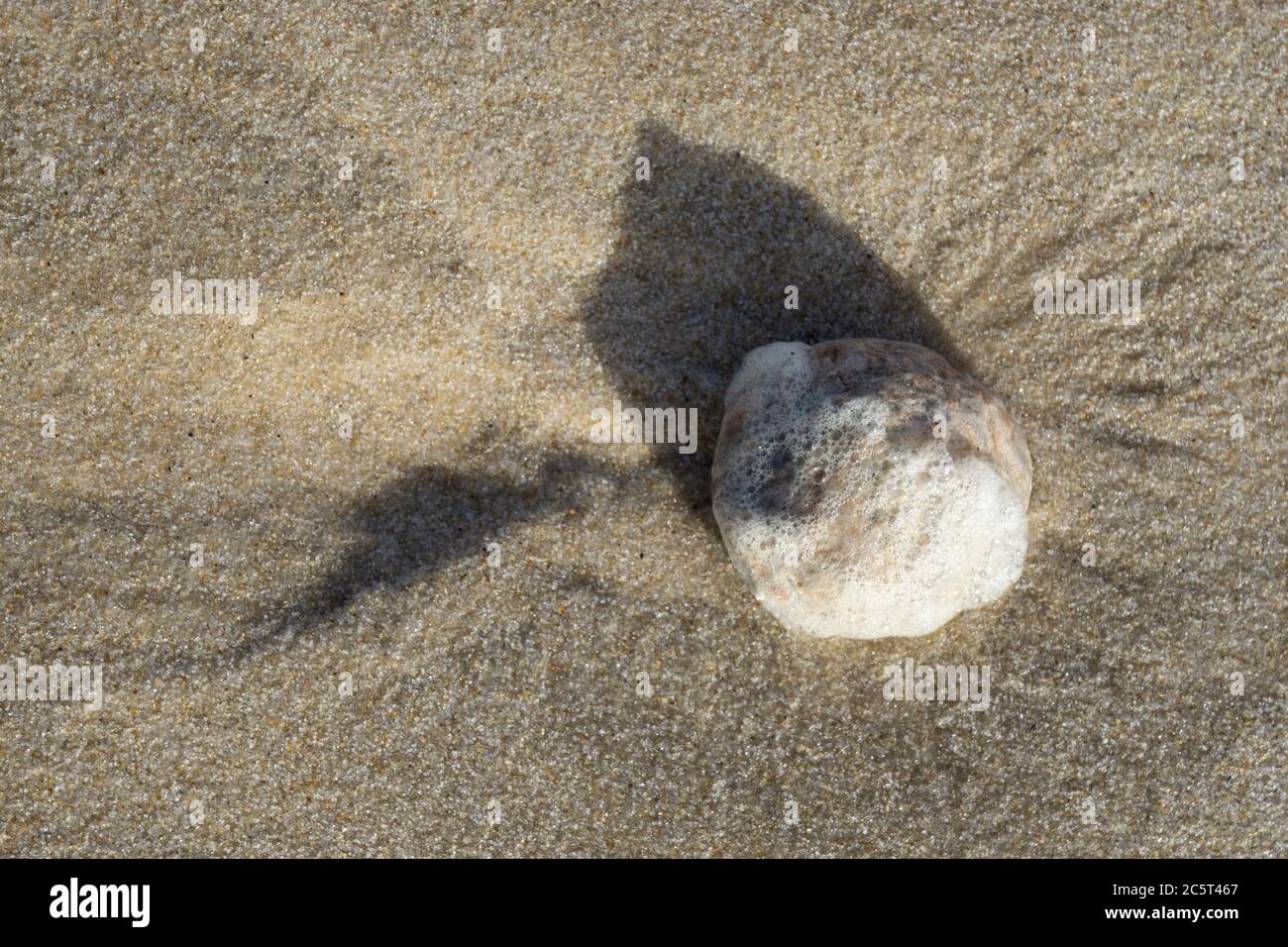 Plage de l'île de Sylt, Île de Frise du Nord, Frise du Nord, Schleswig-Holstein, Allemagne, Europe Banque D'Images