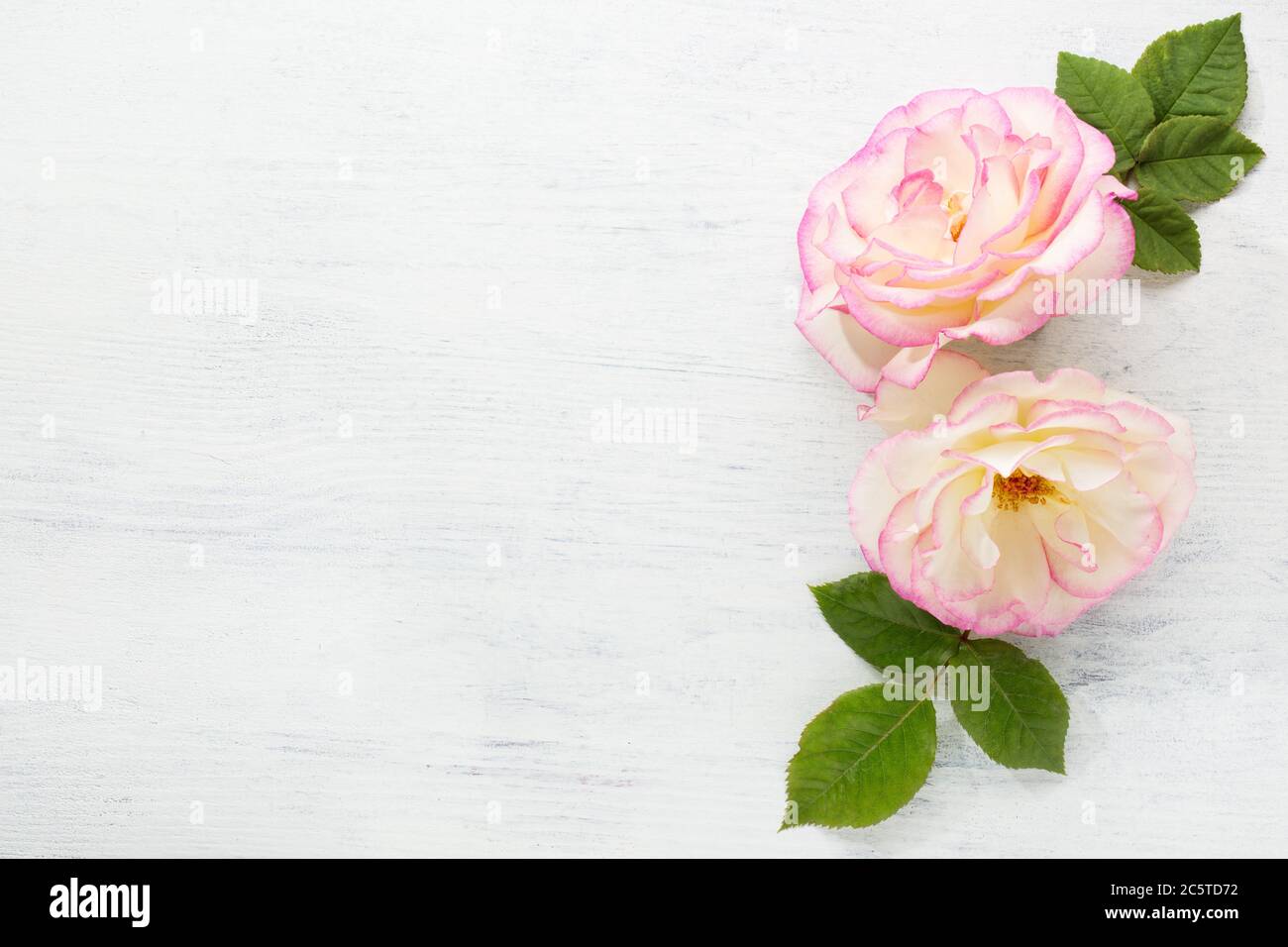 Deux roses avec des feuilles sur une table en bois de merde. Pose à plat. Banque D'Images