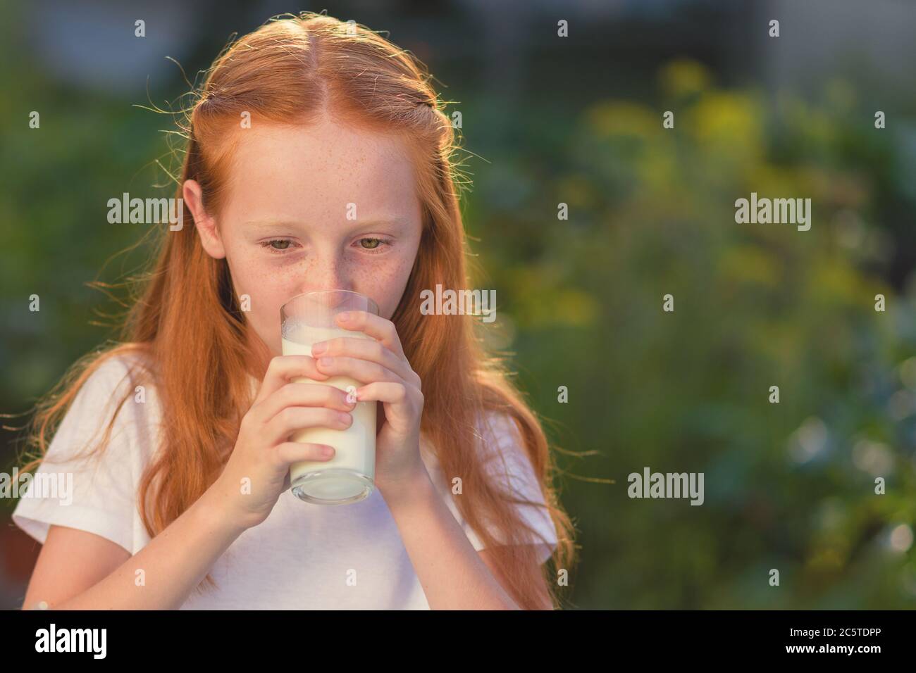 Boire du lait frais de vache Banque de photographies et d’images à haute résolution Alamy