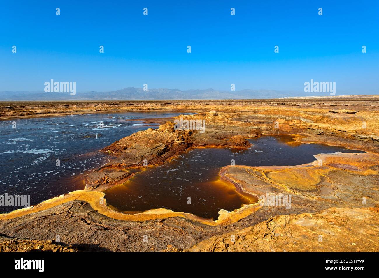 L'étang de Gaet'ale, également lac huileux, avec eau hypersaline, zone géothermique de Dallol, Hamadela, dépression de Danakil, triangle Afar, Éthiopie Banque D'Images