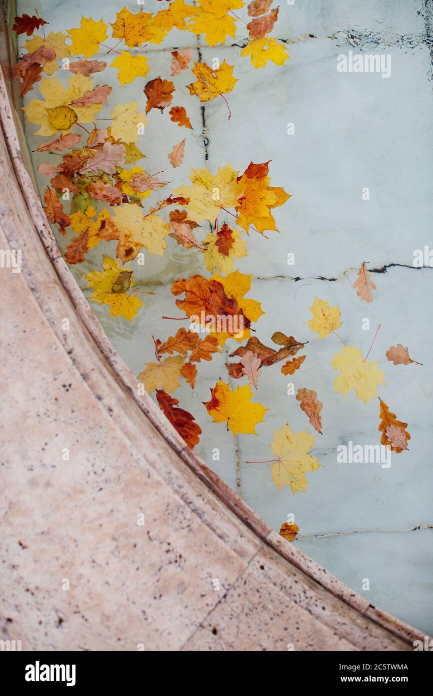 Différentes feuilles colorées tombées flottant dans l'eau de la piscine (fontaine), vue de dessus. Banque D'Images