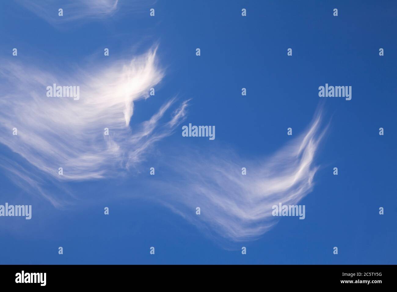 Les cirrus de haute altitude contre un ciel bleu Banque D'Images