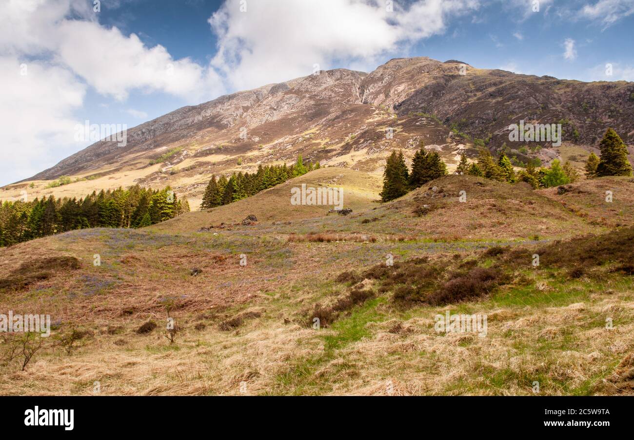 Le Sgorr Fiannaidh de montagne nam et distinctif Clachaig Gully passer de la vallée de Glen Coe dans les Highlands d'Ecosse. Banque D'Images