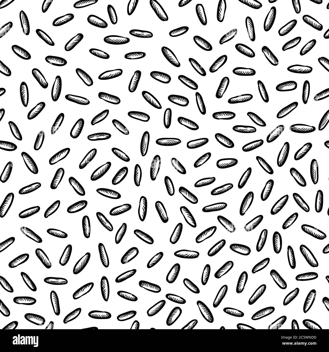 Motif sans couture vectoriel de graines de riz. Imprimé textile tendance dans des couleurs noir et blanc. Arrière-plan abstrait de texture alimentaire. Toile de fond de croquis de grain de blé. Illustration de Vecteur