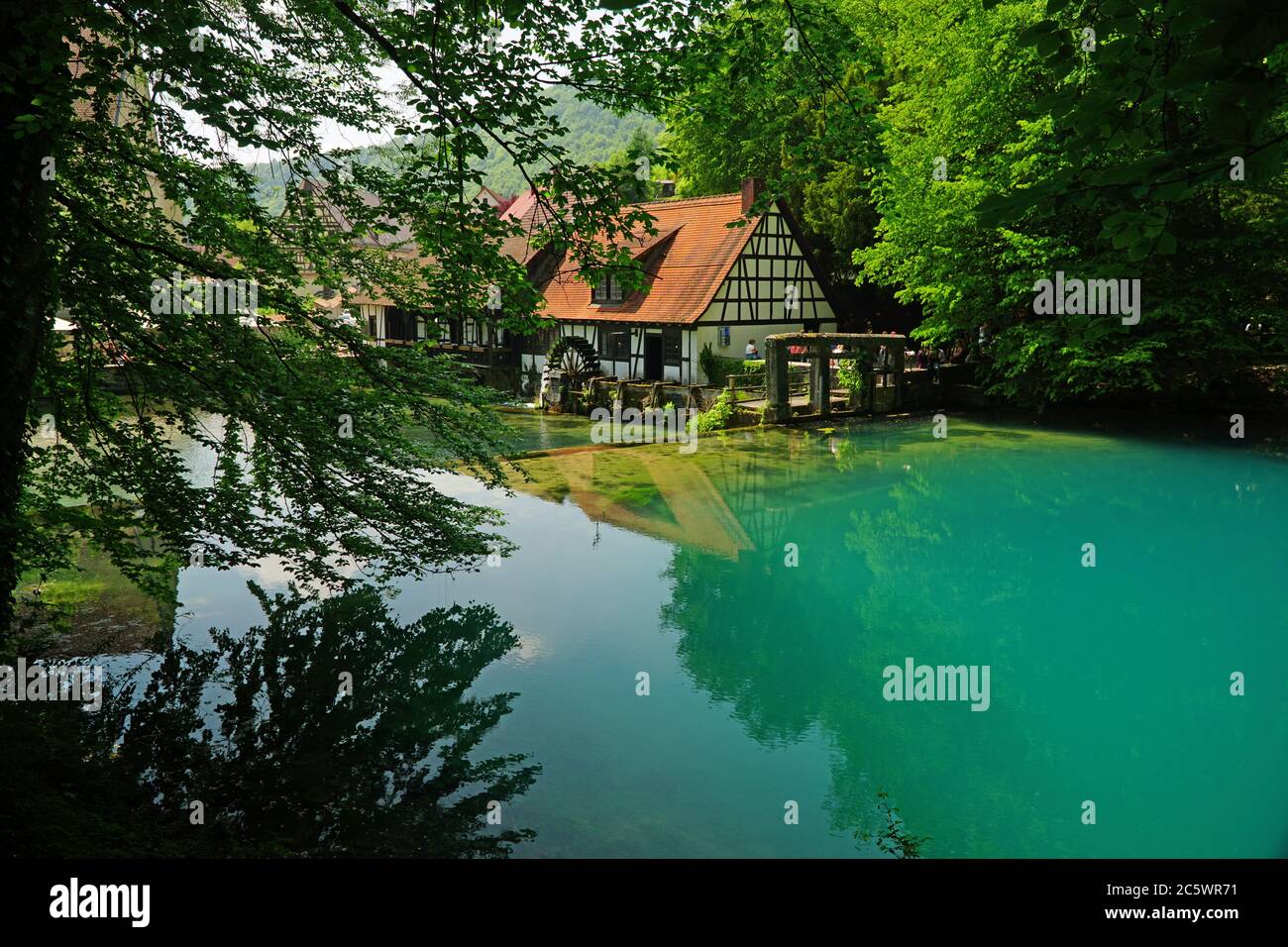 Ressort de trou bleu Banque D'Images