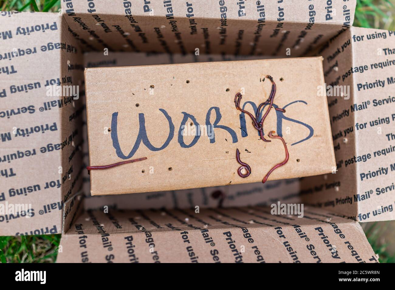 Herndon, USA - 29 avril 2020: Worms signe sur la boîte de livraison de paquet comme courrier prioritaire de USPS pour le conteneur de jardin de la tour de compost et personne Banque D'Images