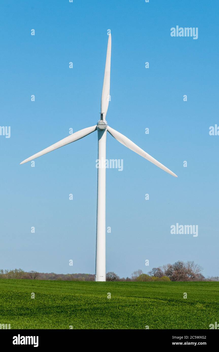 Windkraftanlagen auf einem Feld dans le Schleswig-Holstein Banque D'Images