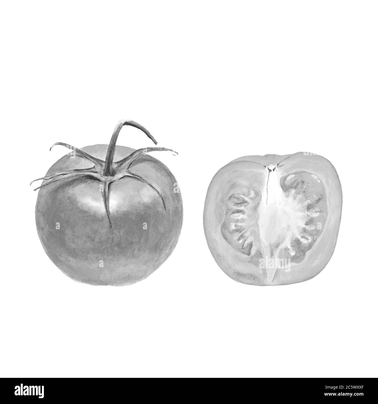 Illustration botanique noir et blanc de tomates entières et coupées sur fond blanc. Pourrait être utilisé comme décoration pour la conception de sites Web, la polygraphie ou le textile Banque D'Images