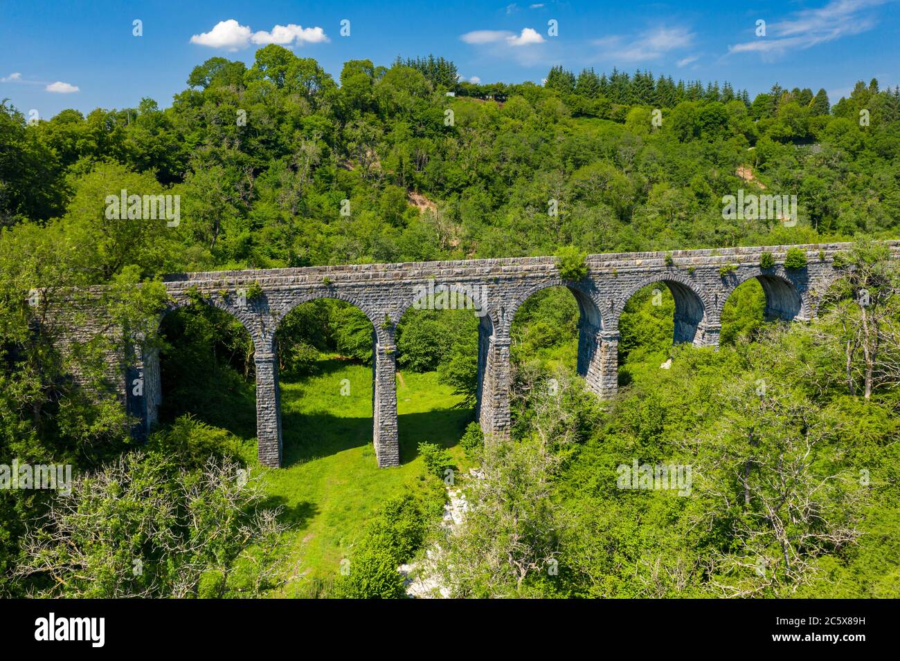 Vue aérienne d'un viaduc de l'époque victorienne dans une belle vallée verdoyante (Viaduc de Pontsarn, Brecon Beacons, pays de Galles) Banque D'Images
