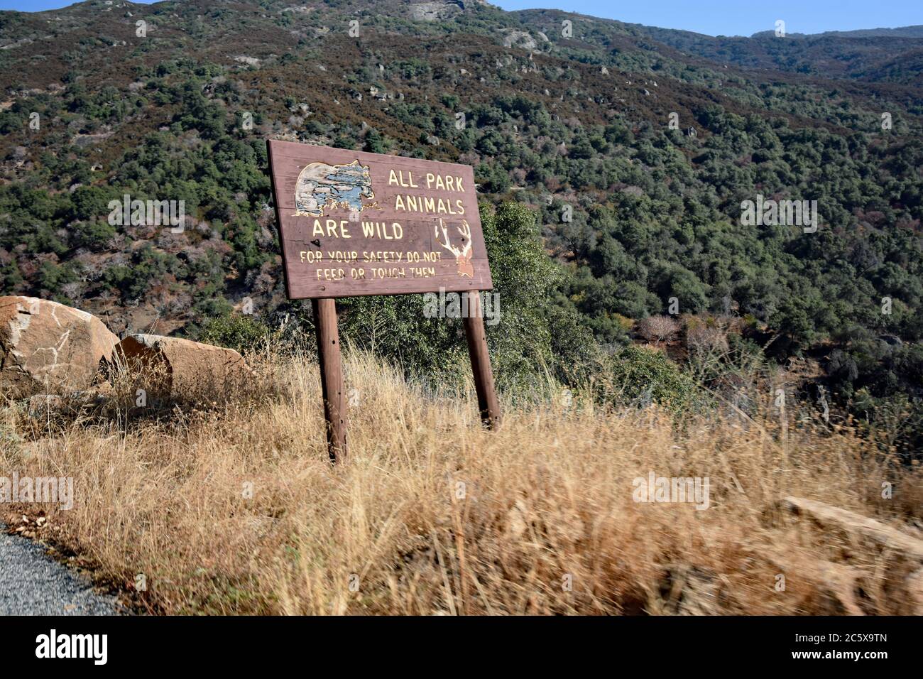 Un panneau en bois marron avec inscription jaune indiquant que tous les animaux du parc sont sauvages. Le long de la route sur la General Highway dans le parc national de Sequoia. Banque D'Images
