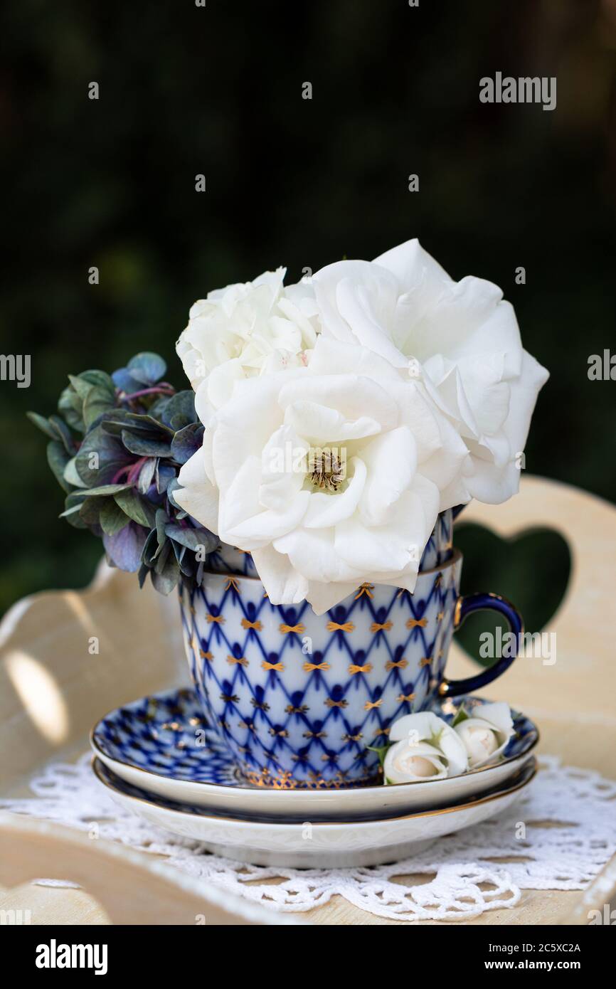 Bouquet de roses blanches de l'aspirine dans une tasse de café vintage Banque D'Images