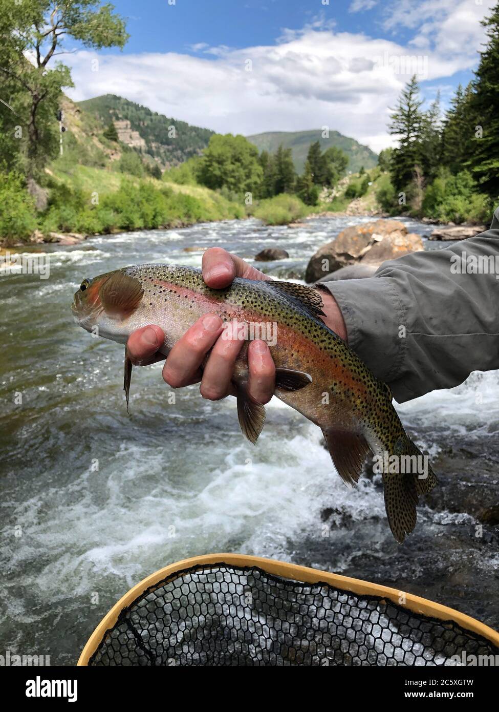 Un homme tient une truite arc-en-ciel sur une rivière qui coule avec des arbres, des montagnes et un ciel bleu en arrière-plan. Il a attrapé le poisson pendant la pêche. Banque D'Images