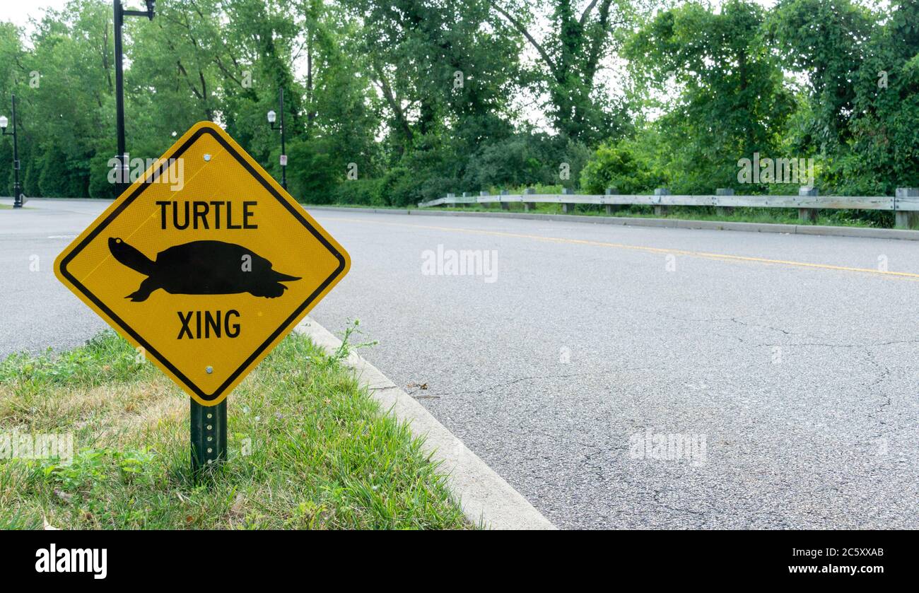 New Overpeck County Park - Turtle Crossing panneau sur la route vide Banque D'Images