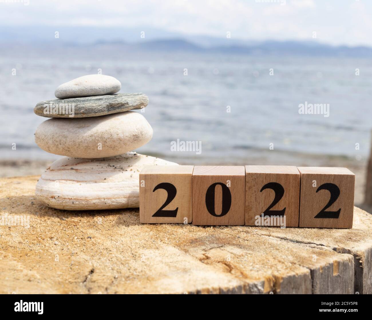 2022 texte sur cubes en bois sur souche d'arbre. Gros plan. Banque D'Images