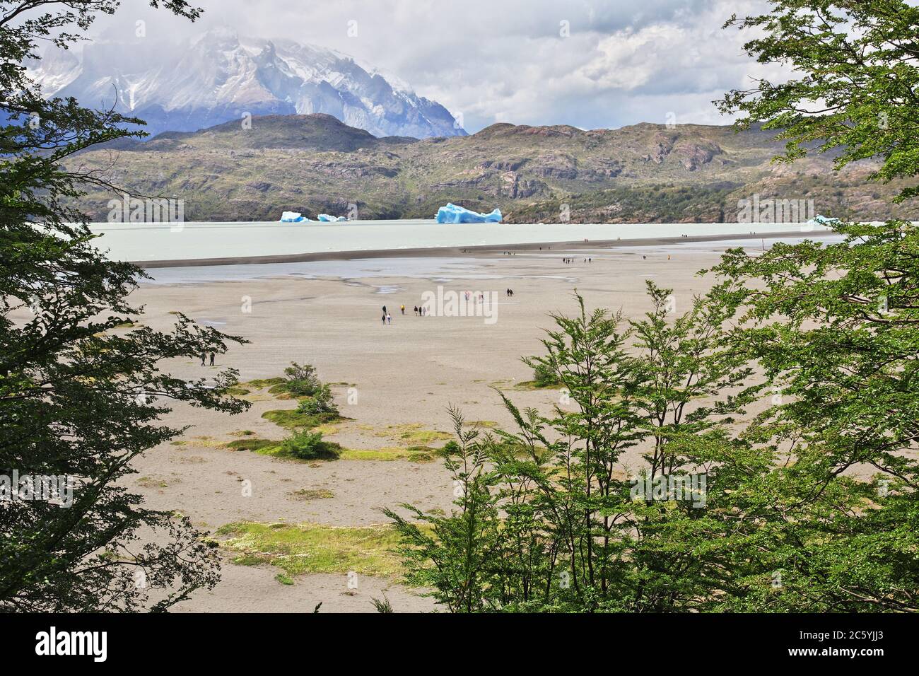 Lago Grey dans le parc national Torres del Paine, Patagonie, Chili Banque D'Images