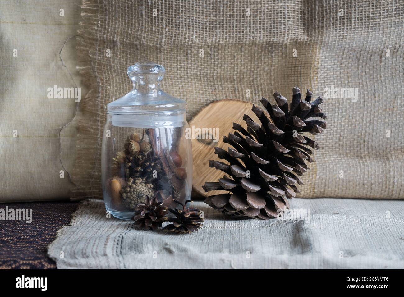 Encore la vie avec une grosse bosse, un pot en verre et des acorns sur un fond de drapery. Banque D'Images