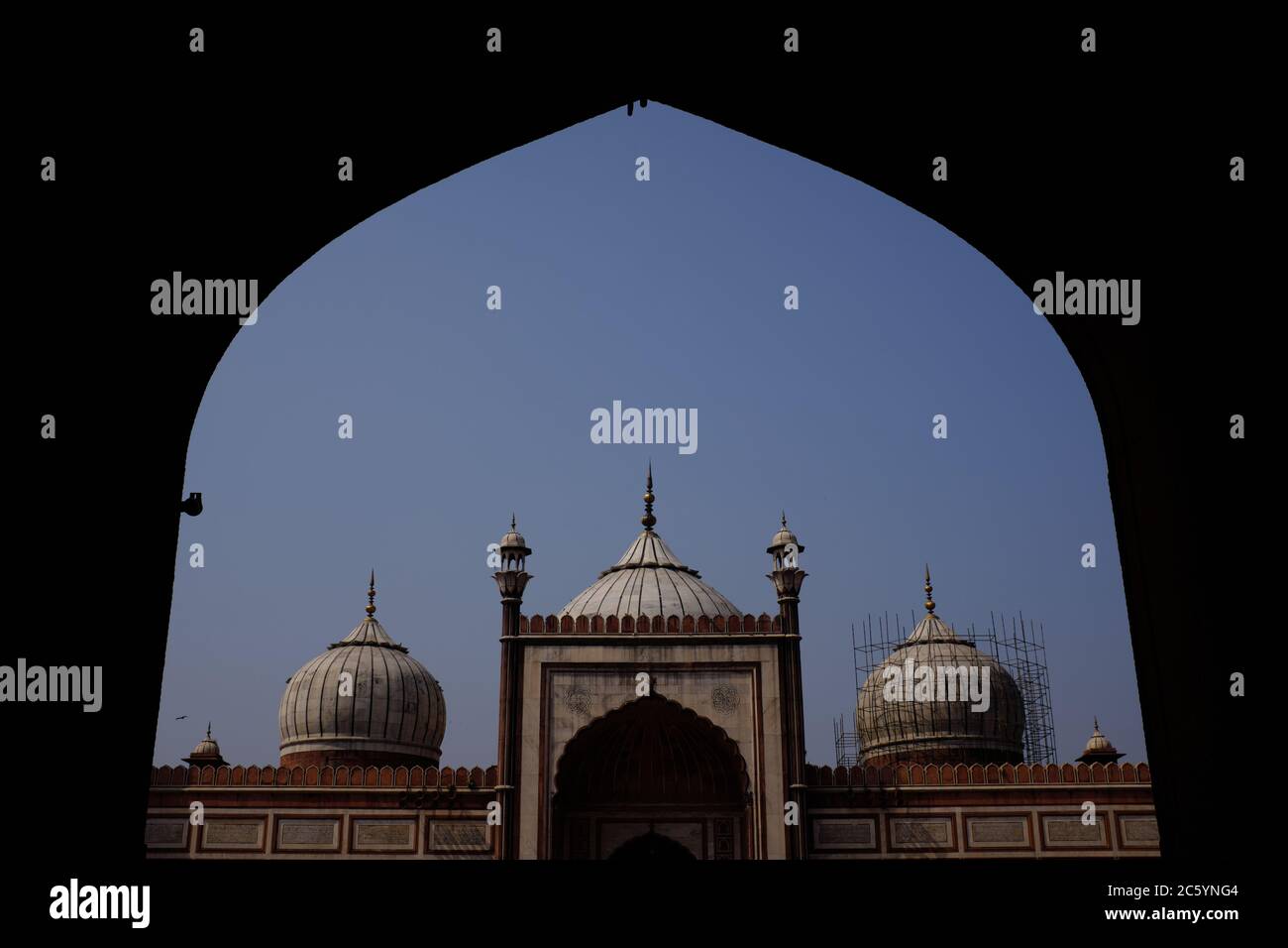 Dômes de la mosquée de Jama dans le Vieux Delhi, Inde Banque D'Images