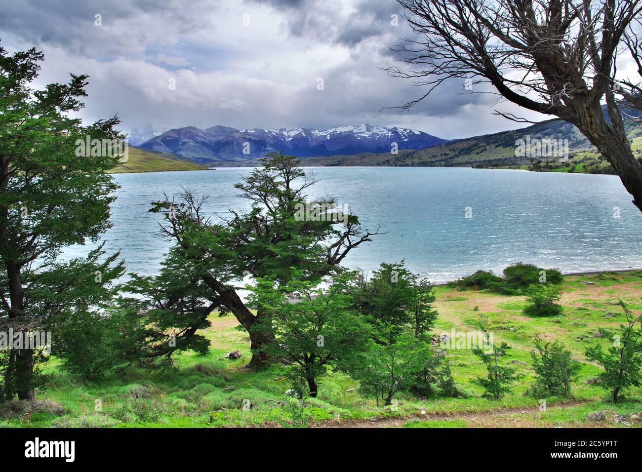 Lac dans le parc national Torres del Paine, Patagonie, Chili Banque D'Images