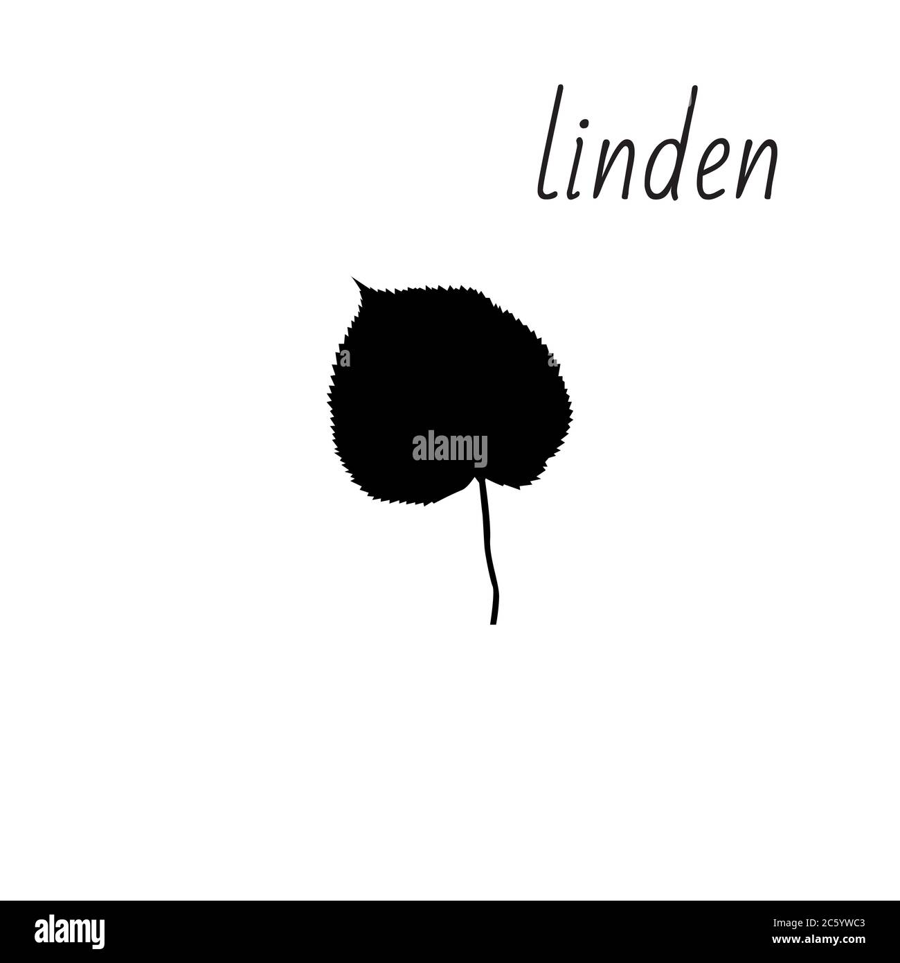 Icône de feuille de Linden isolée sur fond propre. Illustration de Vecteur