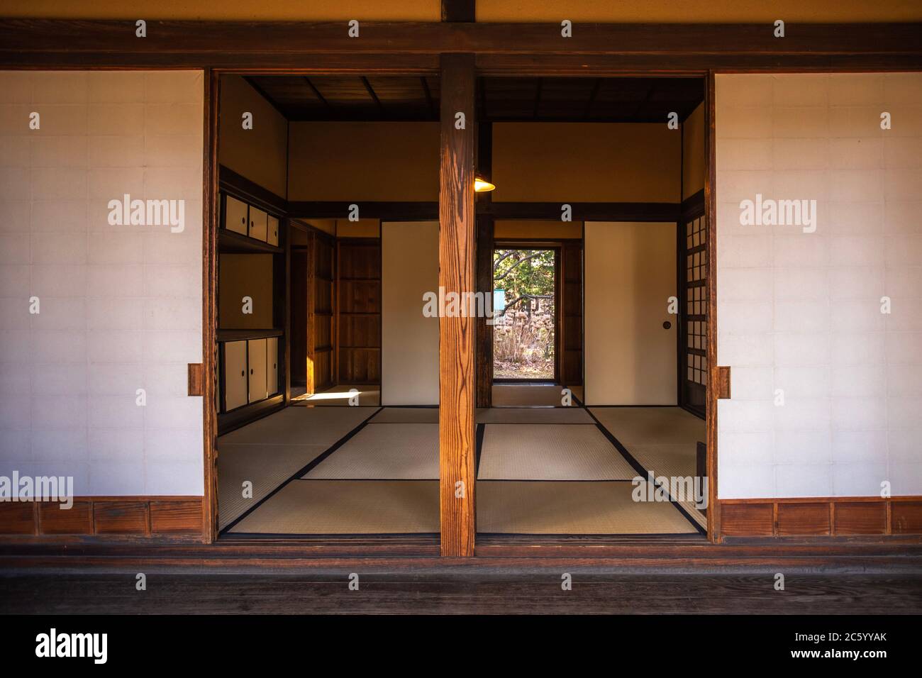 Vue sur les maisons japonaises traditionnelles dans le Palais du Musée Edo Tokyo Banque D'Images