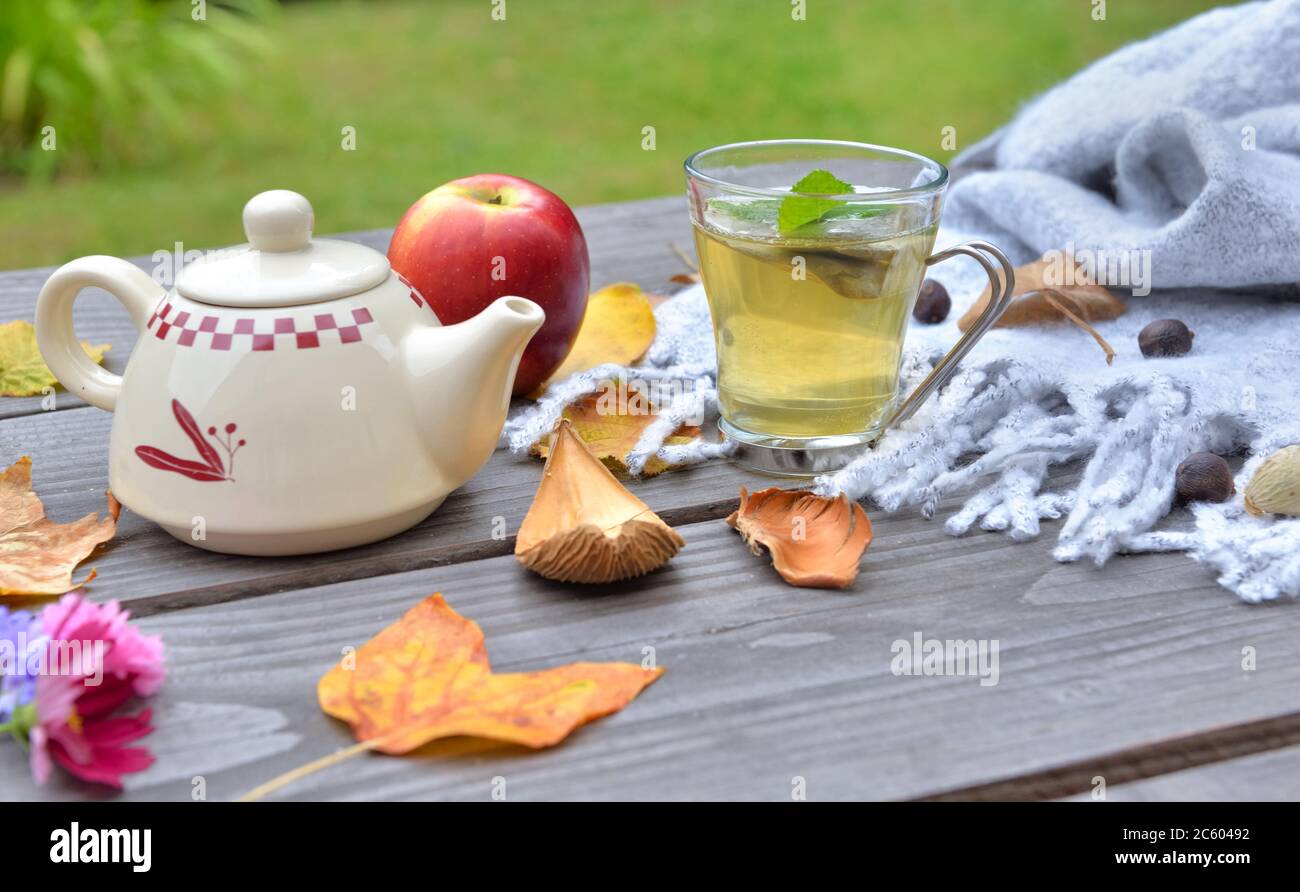 tasse de thé sur une table en bois dans un jardin avec théière parmi les feuilles automnales et pomme rouge sur foulard en laine Banque D'Images