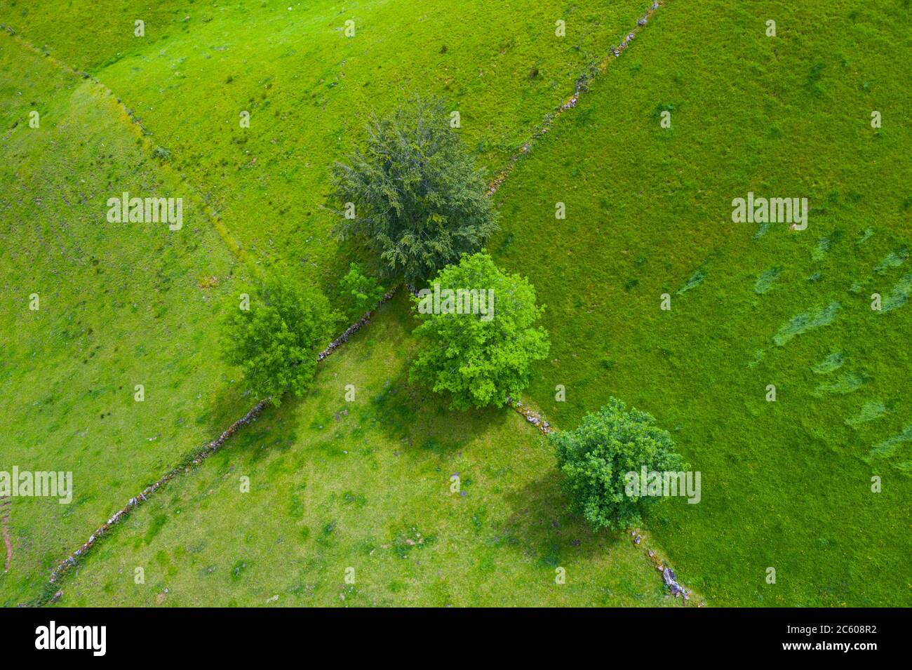 Vue aérienne avec un drone du paysage de printemps des chalets et des prairies de pasiegas dans la vallée de Miera, dans la Communauté autonome de Cantabrie. Espagne, Banque D'Images