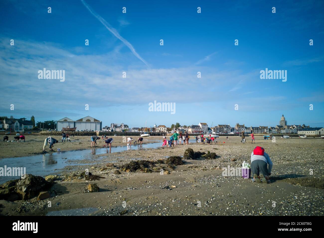 Personnes pêchant des palourdes et des coquillages à marée basse près du village du Croisic sur la péninsule de Guérande, France Banque D'Images