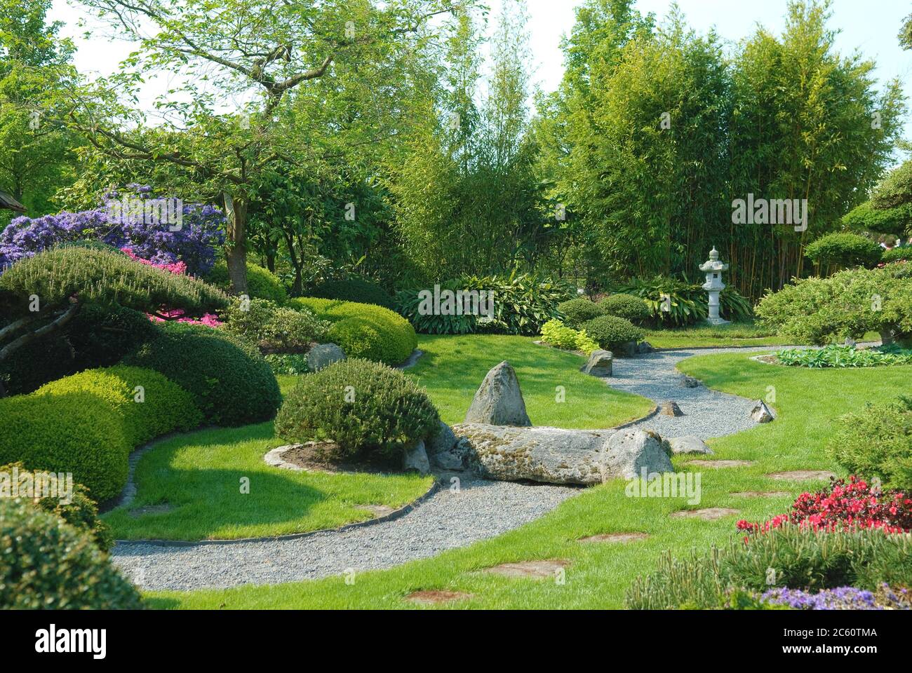 Japanischer Garten, Krumholzkiefer Pinus mugo var. Pumilio, Buchsbaum Buxus sempervirens Suffruticosa, Bambus Phyllostachys Banque D'Images