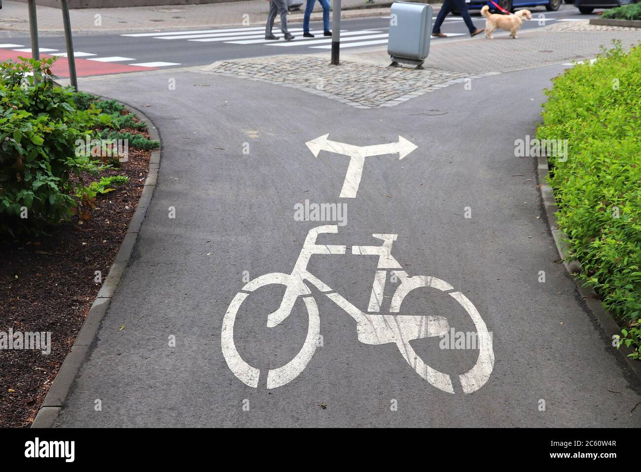Piste cyclable à Wroclaw, Pologne. Infrastructure de transport à vélo. Banque D'Images