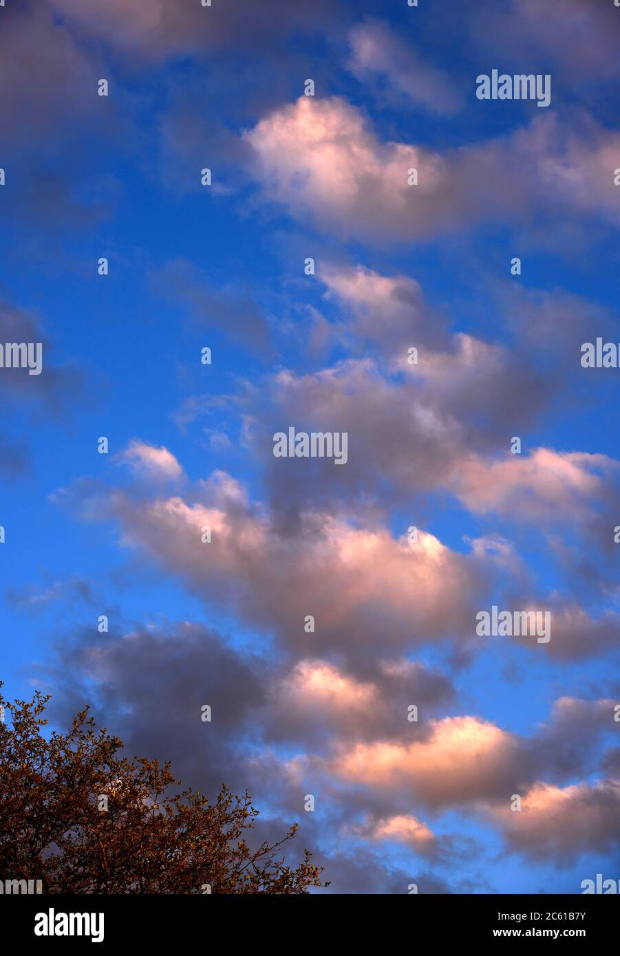 Les nuages blancs moelleux Banque D'Images