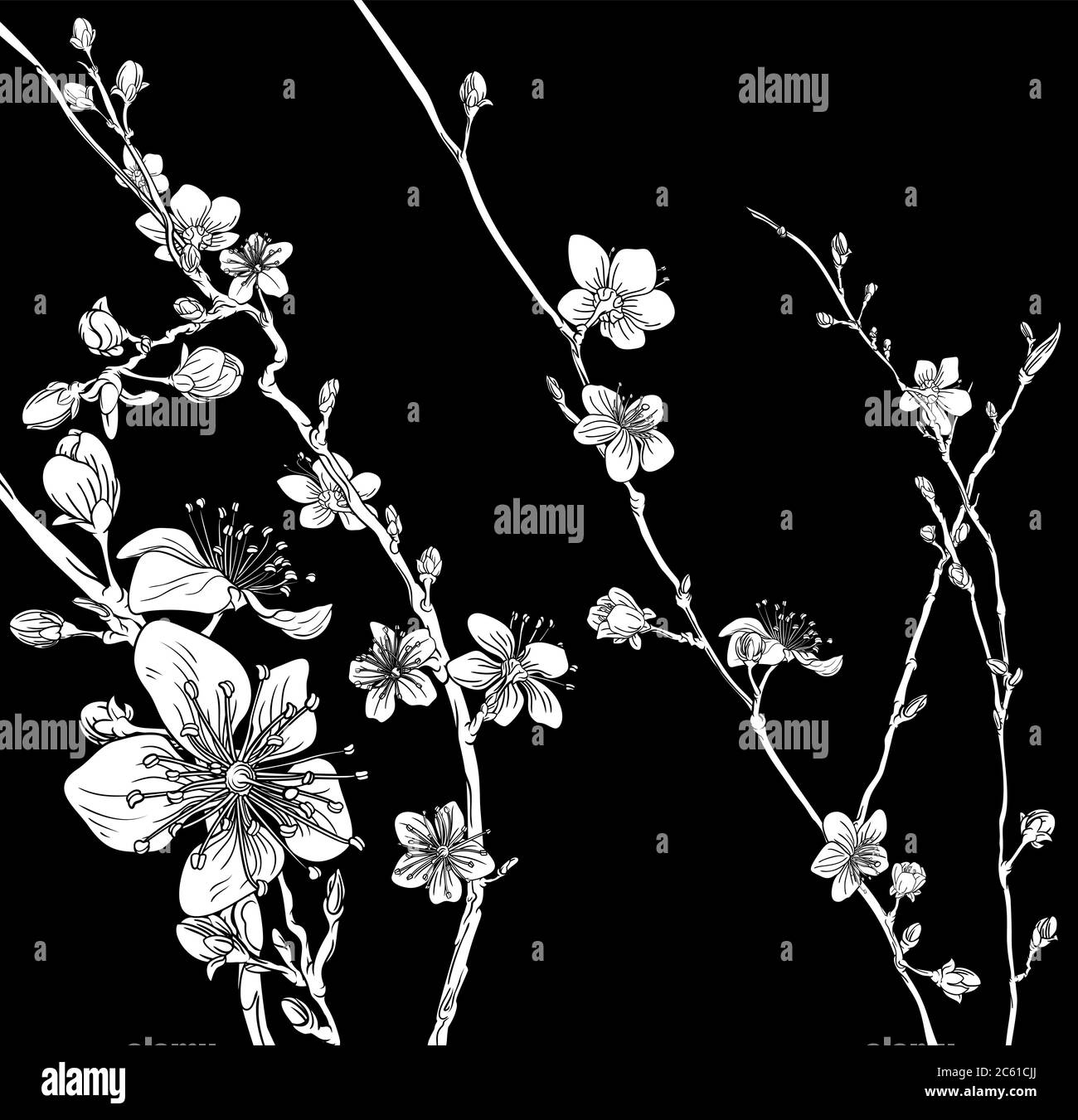 Imprimé fleuri de fleurs de cerisier japonais Sakura Illustration de Vecteur
