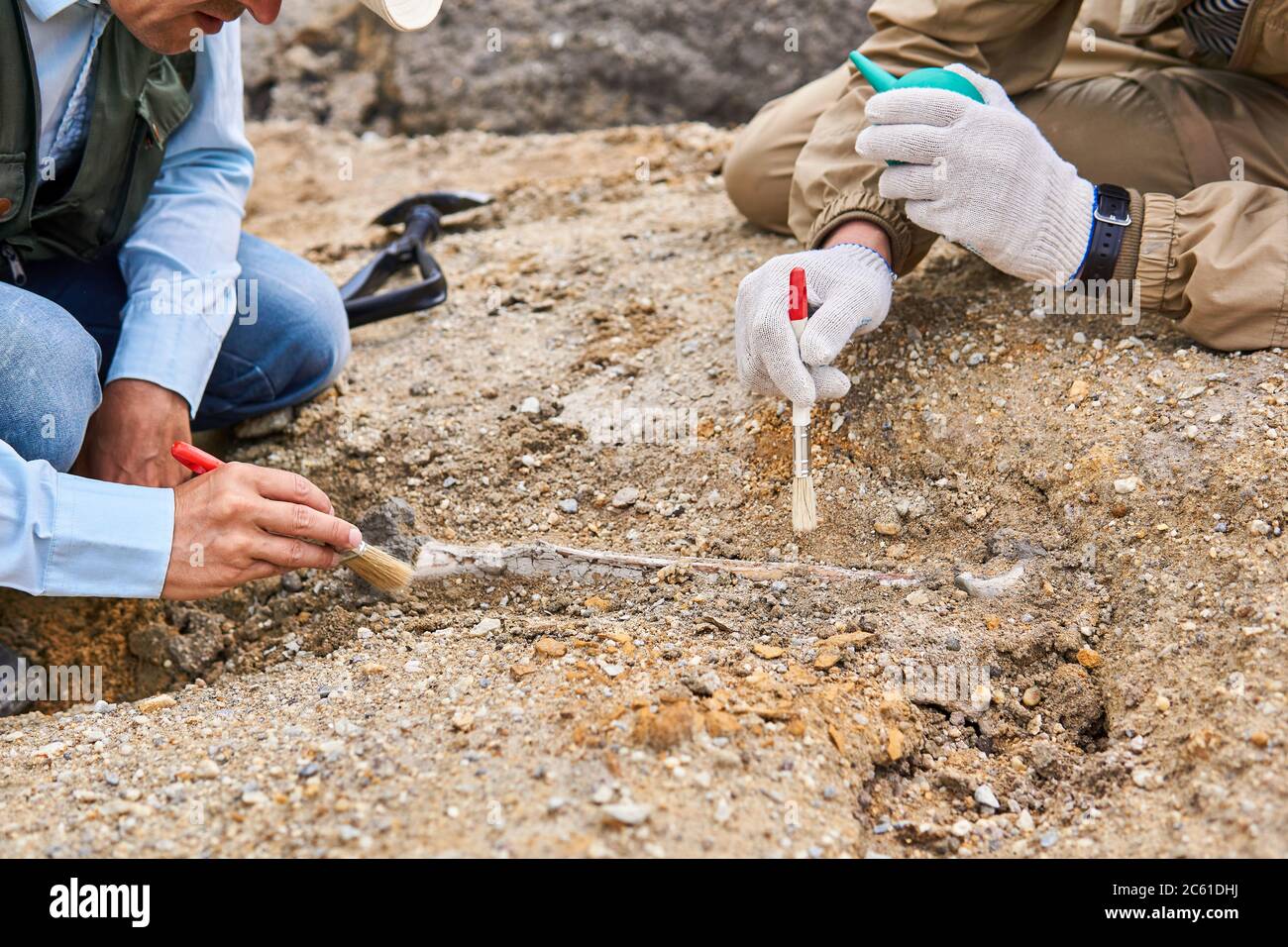 mains de paléontologues nettoyant l'os fossile trouvé dans le désert Banque D'Images