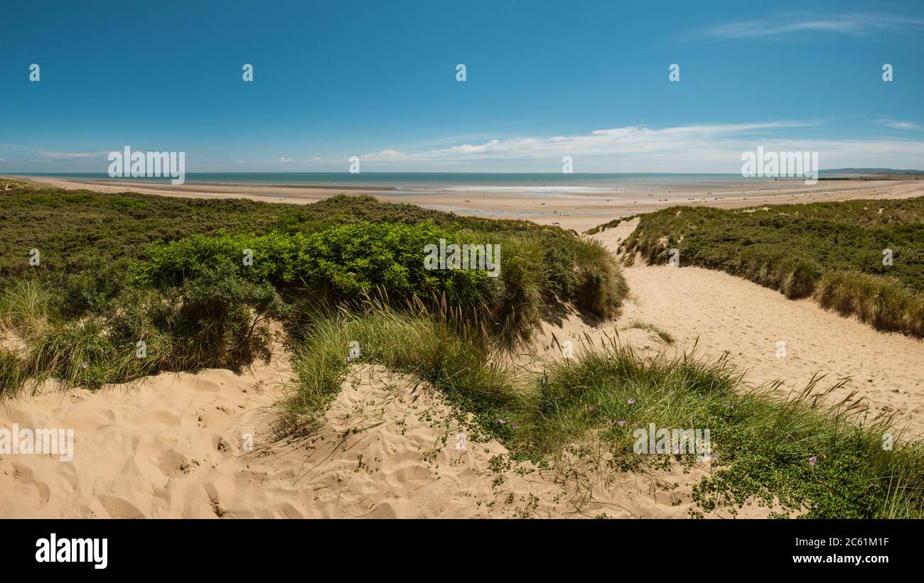 Dunes de sable de Camber Sands Banque D'Images