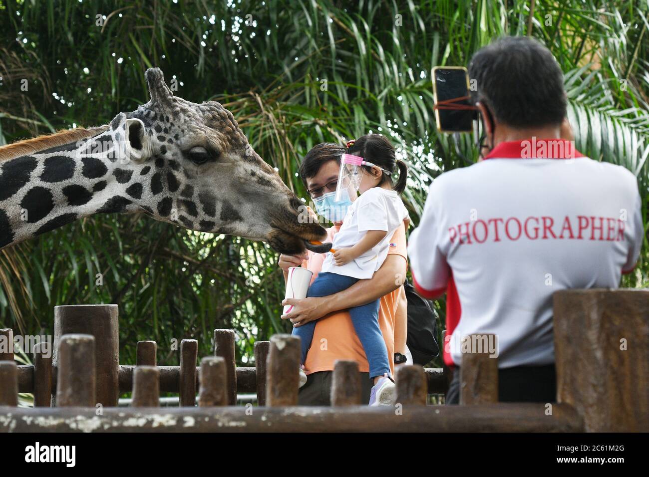 Singapour. 6 juillet 2020. Les visiteurs portant un masque facial nourrissent une girafe au zoo de Singapour le 6 juillet 2020. Le zoo de Singapour a rouvert ses portes au public lundi après l'assouplissement des mesures de confinement dans la lutte contre la pandémie COVID-19. Crédit: Puis Chih Wey/Xinhua/Alay Live News Banque D'Images
