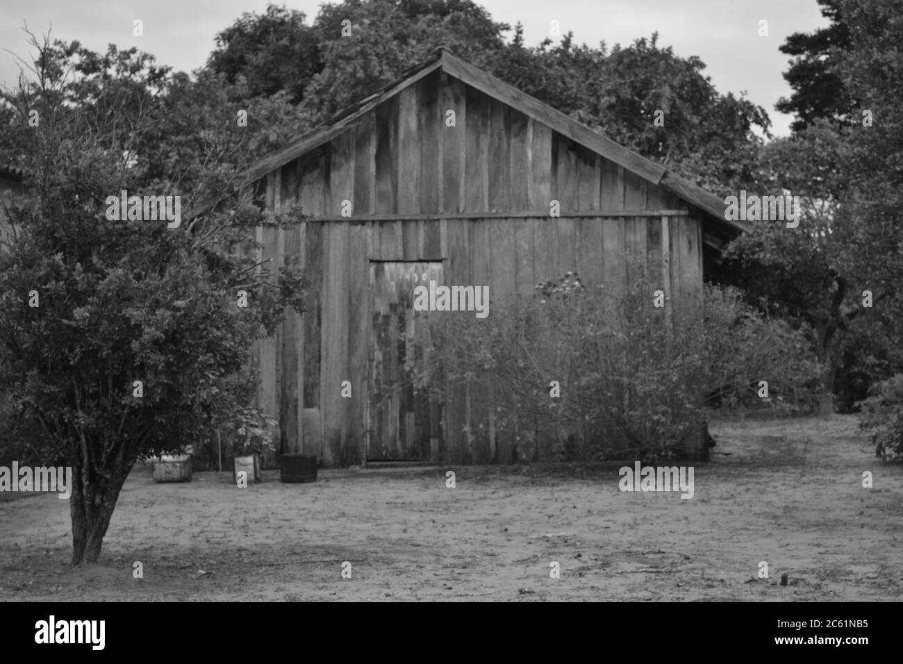 Maison en bois ou planche avec cour avant, arbres typiques et végétation, avec ciel bleu, Brésil, Amérique du Sud, photo en noir et blanc Banque D'Images