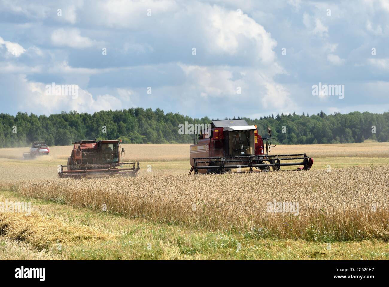 NARO-FOMINSK, RUSSIE - JUL 31, 2016: Récolte de blé. Moissonneuse-batteuse dans les champs agricoles. La Russie se classe en premier dans l'exportation de blé dans le W Banque D'Images