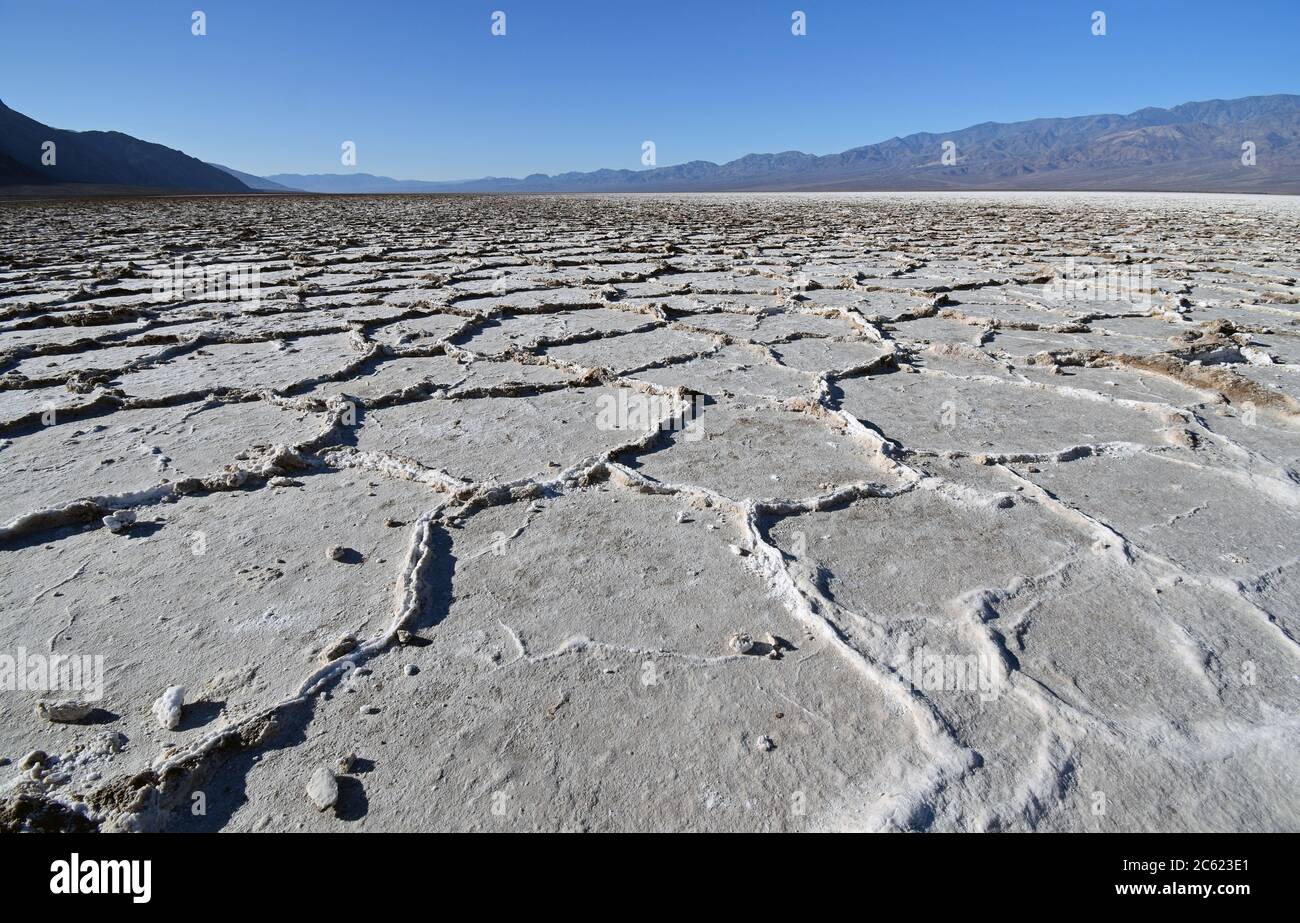 Les plaines salées du bassin de Badwater dans le parc national de la Vallée de la mort. Le sel blanc crée une forme hexagonale sur le sol alors que les montagnes s'élèvent derrière. Banque D'Images