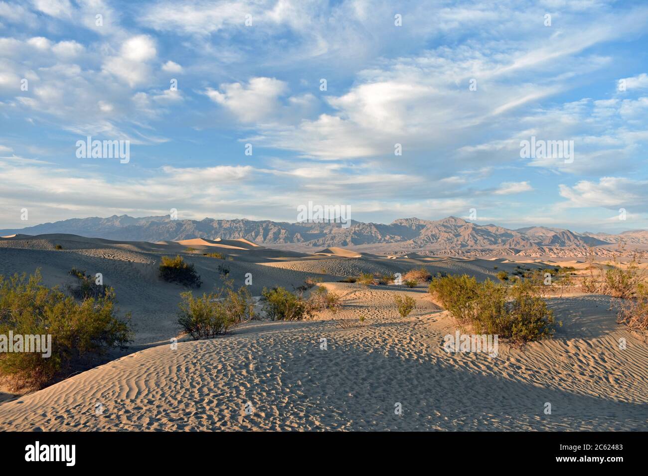 Coucher de soleil sur les dunes de sable de Mesquite Flat dans le parc national de la Vallée de la mort, Californie. Arbres Mesquite et empreintes de pas dans le sable et les montagnes derrière les dunes. Banque D'Images