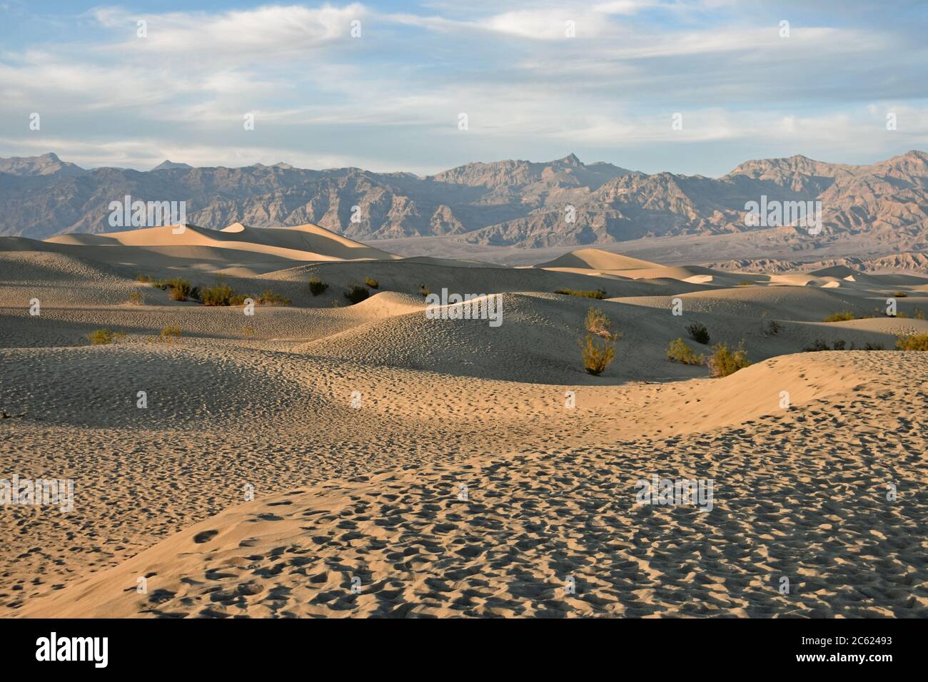 Coucher de soleil sur les dunes de sable de Mesquite Flat dans la vallée de la mort, Californie. Empreintes de pas dans le sable, arbres de Mesquite et montagnes du désert brun en arrière-plan. Banque D'Images