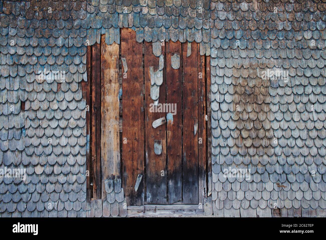 Arrière-plan mural en bois avec des bardeaux de toit anciens et abîmés avec des restes de peinture bleue, avec un espace de copie pour votre texte ou votre conception créative Banque D'Images