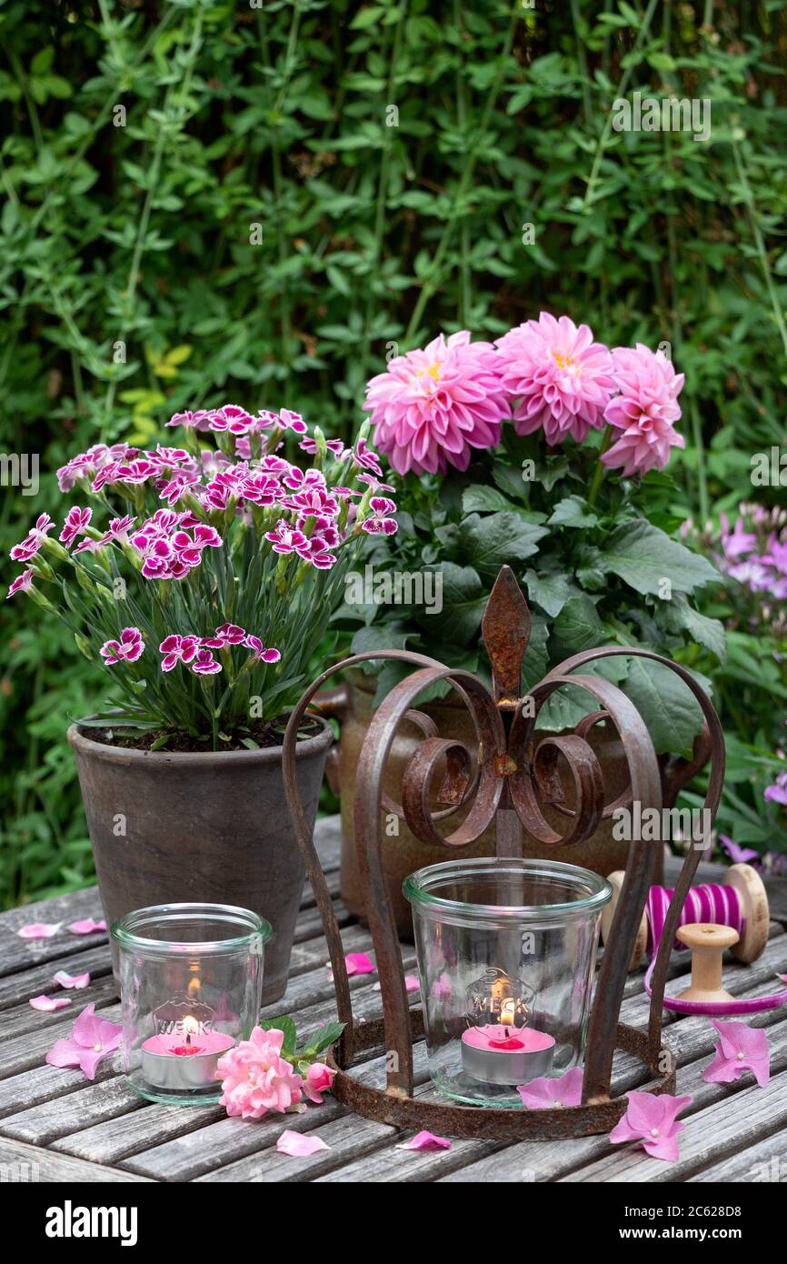décoration de jardin rustique avec dahlia et carnation roses et bougies en verre Banque D'Images