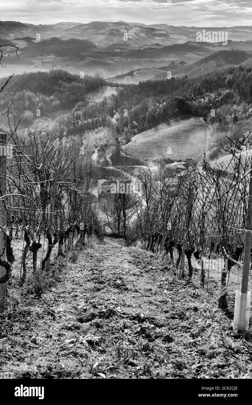 Paysage noir et blanc. Vue panoramique sur la vallée de Bormida depuis les vignobles près de Cassinasco, Piémont, Italie Banque D'Images